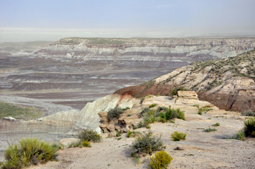 view from the Blue Mesa Overlook at the Petrified Forest